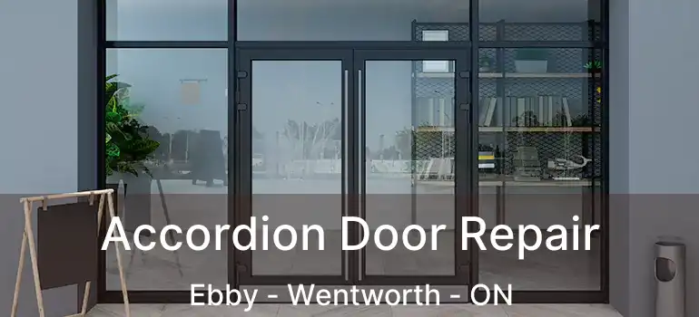  Accordion Door Repair Ebby - Wentworth - ON