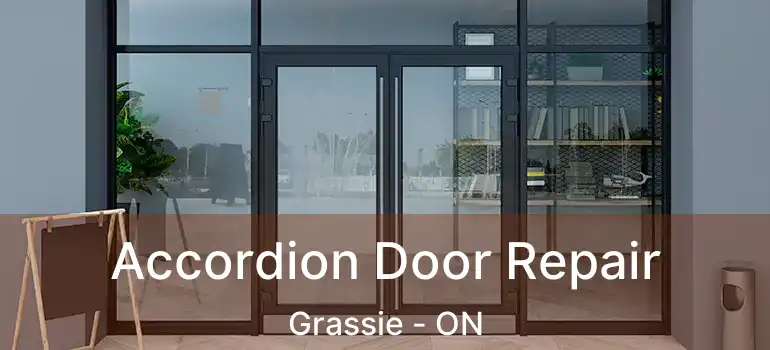  Accordion Door Repair Grassie - ON