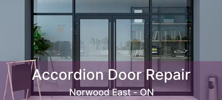  Accordion Door Repair Norwood East - ON