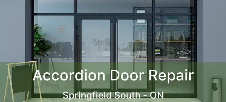  Accordion Door Repair Springfield South - ON