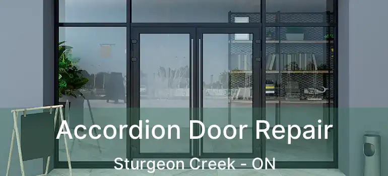  Accordion Door Repair Sturgeon Creek - ON