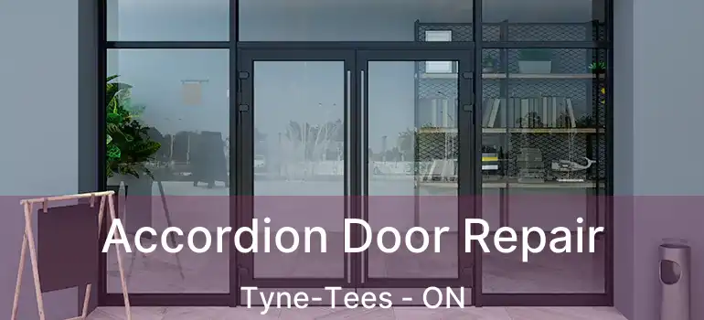  Accordion Door Repair Tyne-Tees - ON