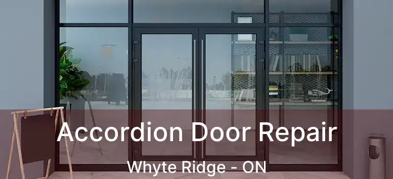  Accordion Door Repair Whyte Ridge - ON
