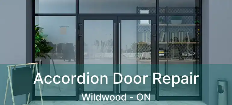  Accordion Door Repair Wildwood - ON