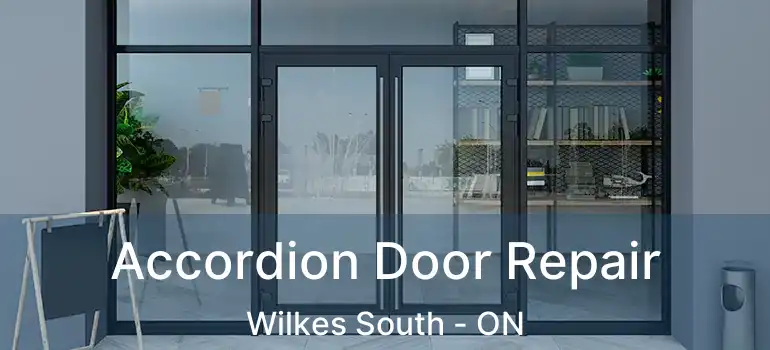  Accordion Door Repair Wilkes South - ON