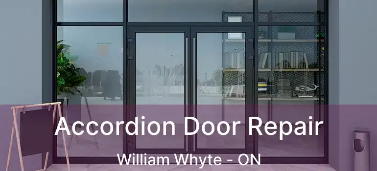  Accordion Door Repair William Whyte - ON