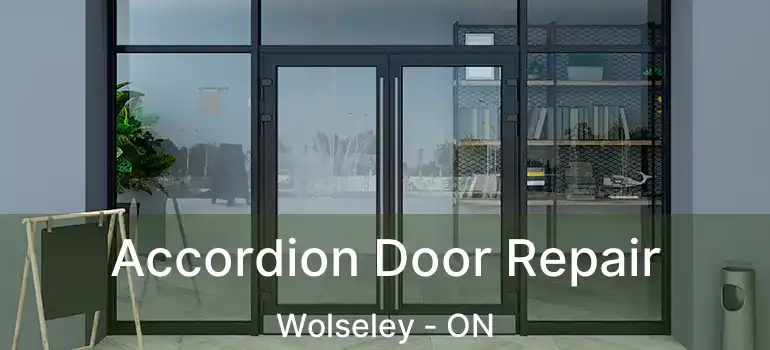  Accordion Door Repair Wolseley - ON
