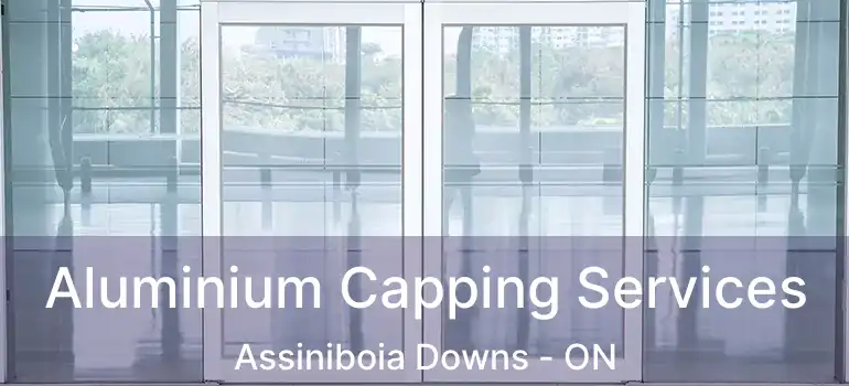  Aluminium Capping Services Assiniboia Downs - ON