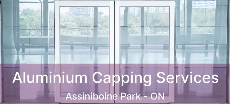  Aluminium Capping Services Assiniboine Park - ON