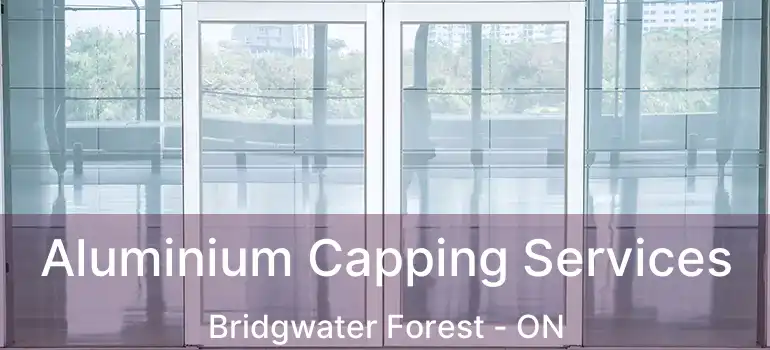  Aluminium Capping Services Bridgwater Forest - ON