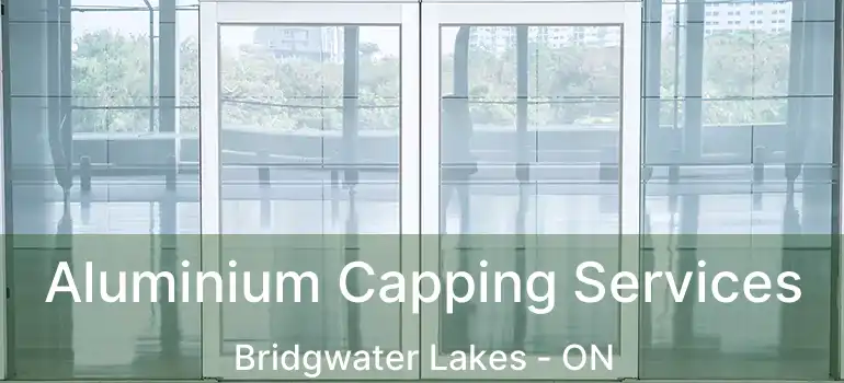  Aluminium Capping Services Bridgwater Lakes - ON
