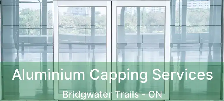  Aluminium Capping Services Bridgwater Trails - ON