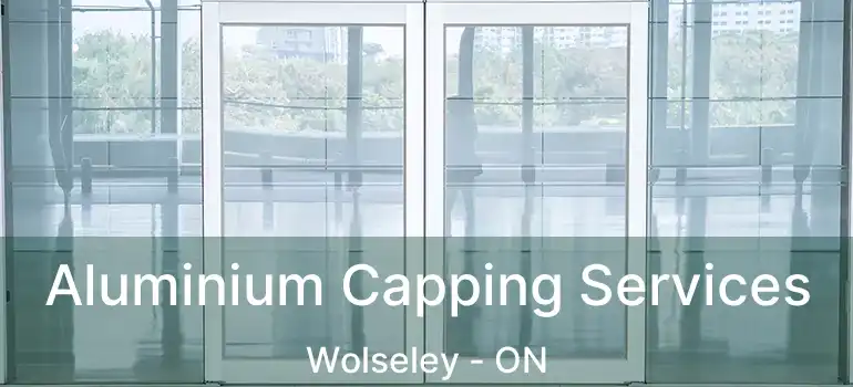  Aluminium Capping Services Wolseley - ON