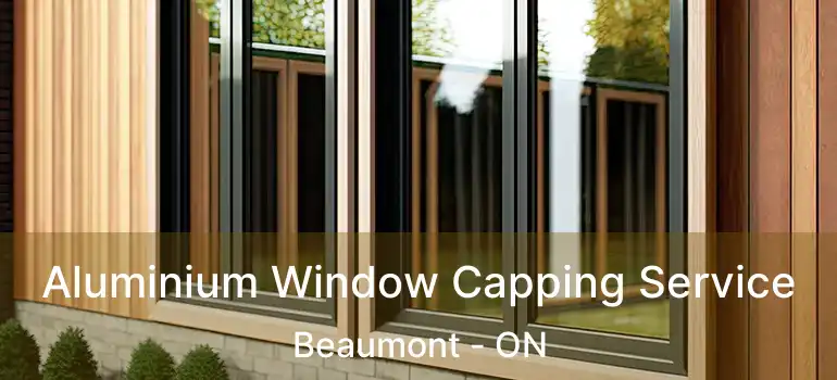  Aluminium Window Capping Service Beaumont - ON