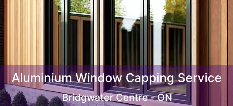  Aluminium Window Capping Service Bridgwater Centre - ON