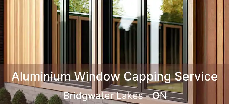  Aluminium Window Capping Service Bridgwater Lakes - ON