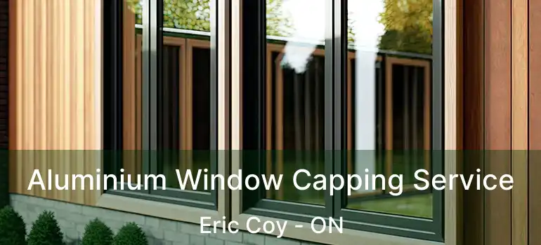  Aluminium Window Capping Service Eric Coy - ON
