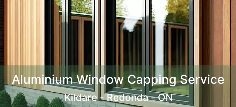  Aluminium Window Capping Service Kildare - Redonda - ON