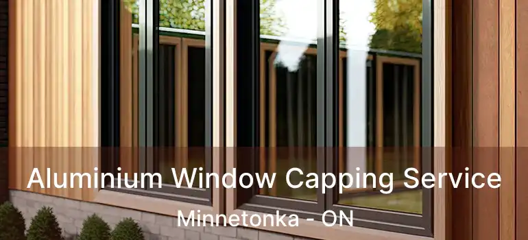  Aluminium Window Capping Service Minnetonka - ON