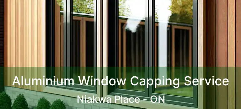  Aluminium Window Capping Service Niakwa Place - ON