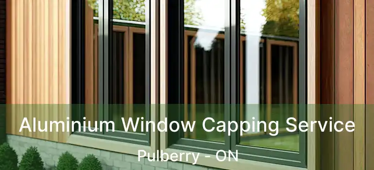  Aluminium Window Capping Service Pulberry - ON