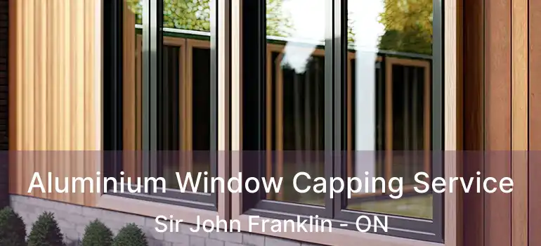  Aluminium Window Capping Service Sir John Franklin - ON
