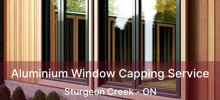  Aluminium Window Capping Service Sturgeon Creek - ON
