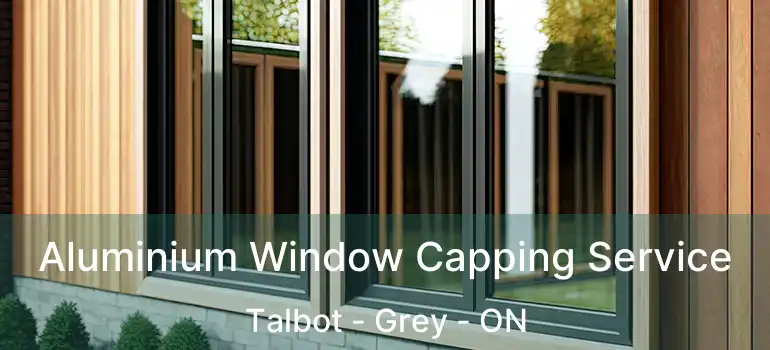  Aluminium Window Capping Service Talbot - Grey - ON