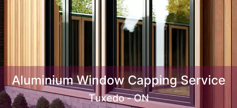  Aluminium Window Capping Service Tuxedo - ON