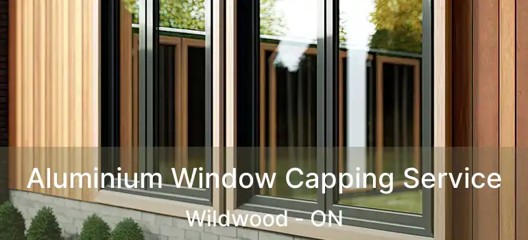  Aluminium Window Capping Service Wildwood - ON