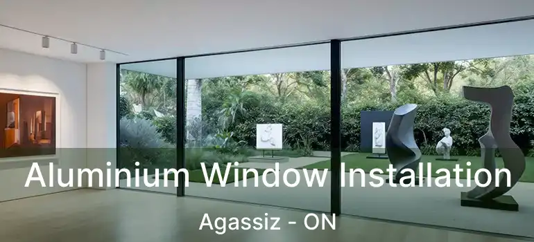  Aluminium Window Installation Agassiz - ON