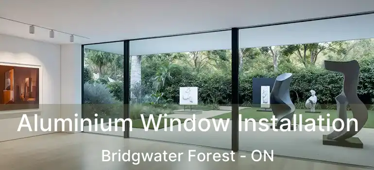  Aluminium Window Installation Bridgwater Forest - ON