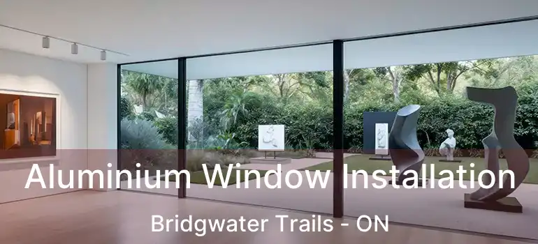  Aluminium Window Installation Bridgwater Trails - ON