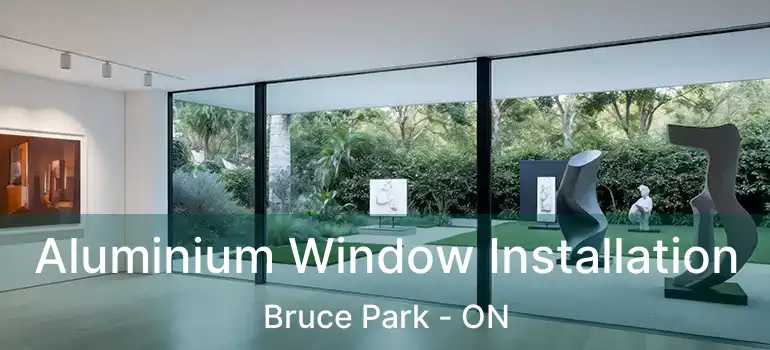  Aluminium Window Installation Bruce Park - ON