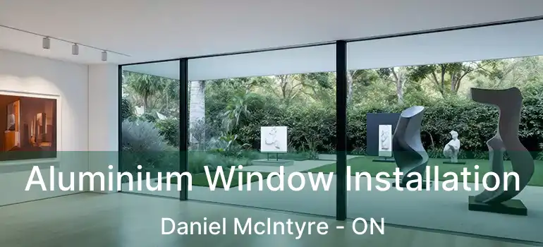  Aluminium Window Installation Daniel McIntyre - ON