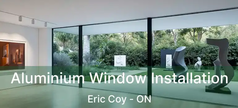  Aluminium Window Installation Eric Coy - ON