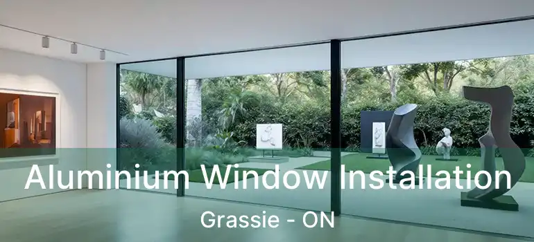  Aluminium Window Installation Grassie - ON