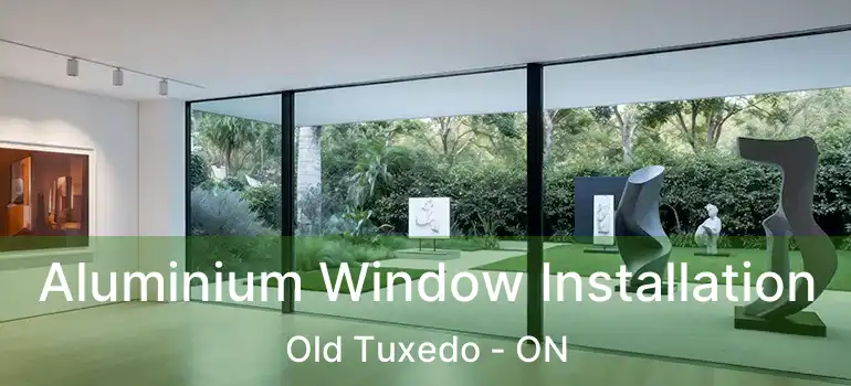  Aluminium Window Installation Old Tuxedo - ON