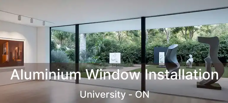  Aluminium Window Installation University - ON