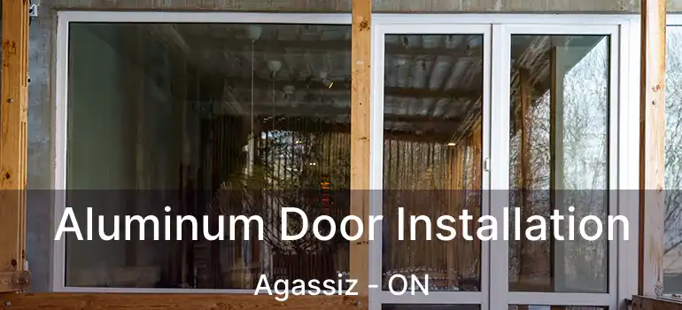  Aluminum Door Installation Agassiz - ON