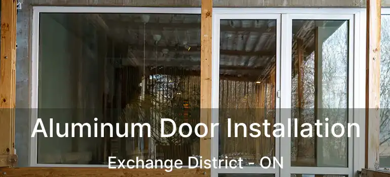  Aluminum Door Installation Exchange District - ON