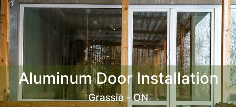  Aluminum Door Installation Grassie - ON