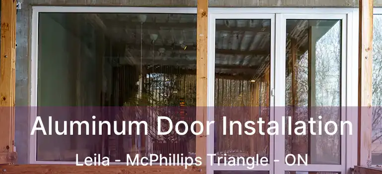  Aluminum Door Installation Leila - McPhillips Triangle - ON