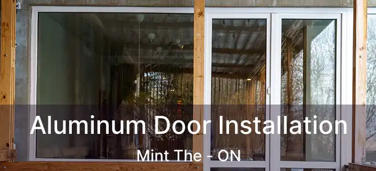  Aluminum Door Installation Mint The - ON