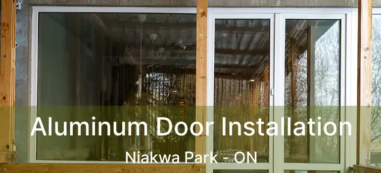  Aluminum Door Installation Niakwa Park - ON