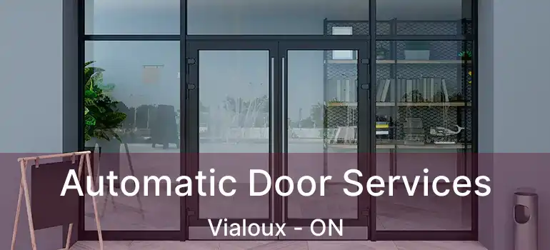  Automatic Door Services Vialoux - ON