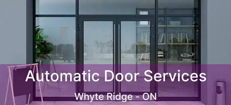  Automatic Door Services Whyte Ridge - ON