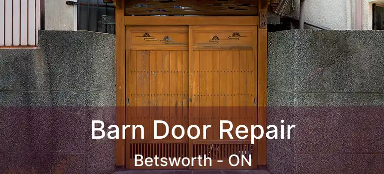  Barn Door Repair Betsworth - ON