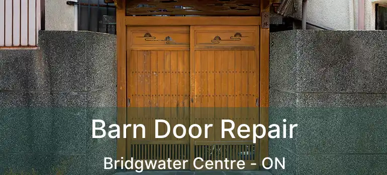  Barn Door Repair Bridgwater Centre - ON