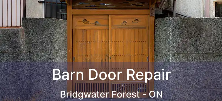  Barn Door Repair Bridgwater Forest - ON